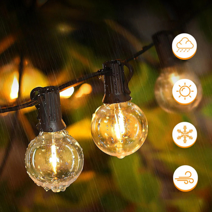 Guirlande Lumineuse BrillanceVin - Éclairages LED pour Occasions Festives et Illumination de Jardin